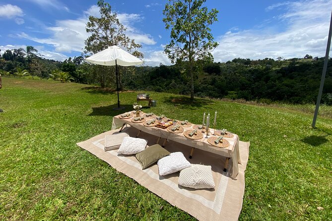 Tailor Made Luxury Picnic with Breathtaking Views - Rain or Shine: The Bubble Tent Backup