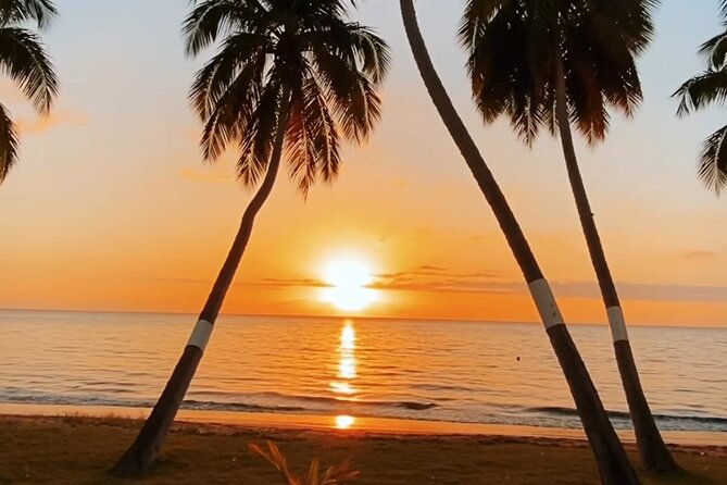 Taino Hidden Caves Guided Tour - Should you book the Taino Hidden Caves guided tour?