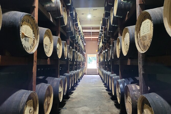 The Barrilito Rum Factory Experience Transportation Included - Key highlights to know before you go