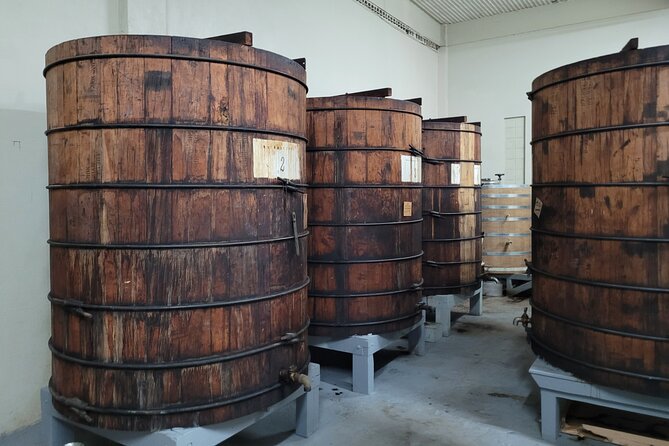 The Barrilito Rum Factory Experience Transportation Included - Price and value: when $99 feels fair, and when it can feel pricey