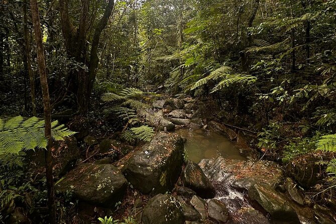 The Best Rainforest Experience in Puerto Rico - Las Pailas: natural rock waterslides, river pools, and safe fun