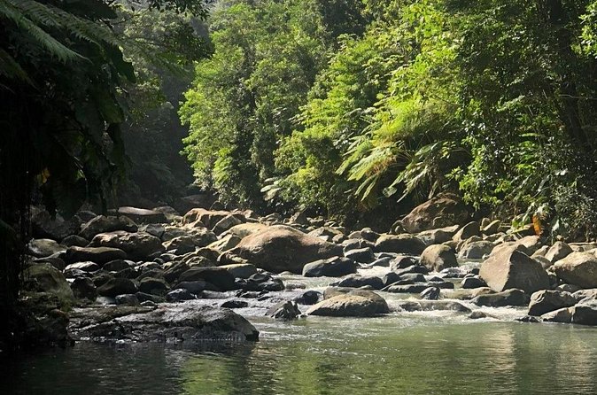 The Best Rainforest Experience in Puerto Rico - Luquillo Beach: your end-of-day reset with mofongo