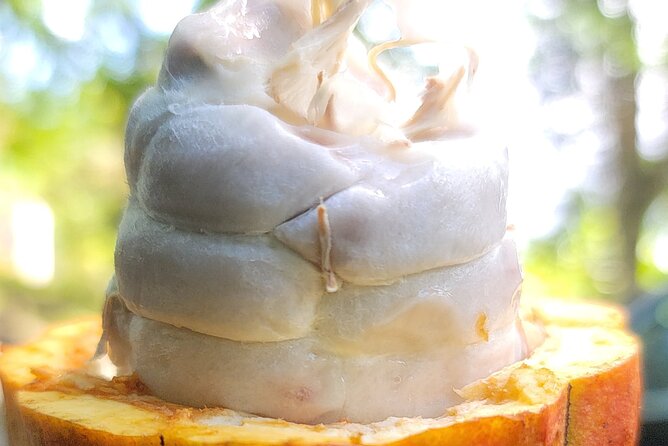 The Taino Route - Food and budget: snacks included, lunch is on you