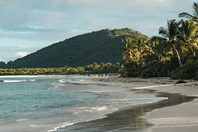The Ultimate Self-Guided Hidden Gems Tour in Puerto Rico - Price and Value: Why $5 Per Group Makes This One Hard to Beat