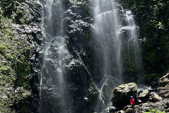 The Waterfall Adventure: Hiking in Paradise - Who should book this waterfall adventure, and who might skip it