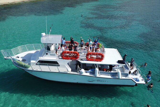 Theo Culebra Island Experience - Snorkeling the Coral Reef: What the Guide Support Really Means