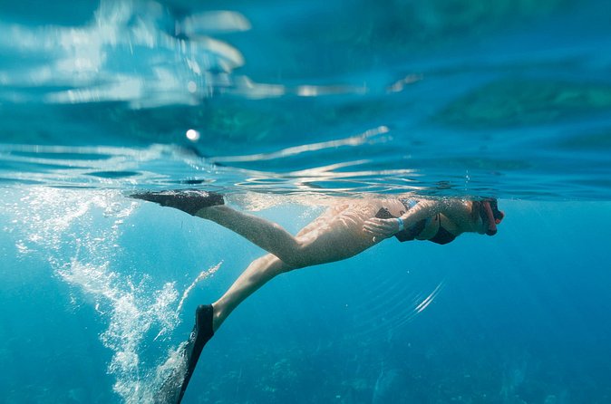 Tobias Icacos Half Day Tour - Food, Drinks, and Snorkel Gear: What’s Included and What to Plan For