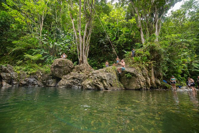 Top Rated El Yunque Rainforest & Waterslide – SmallGroup Tour - Getting to El Yunque from San Juan: meet-up, ride, and timing