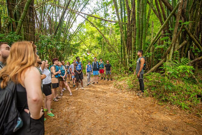 Top Rated El Yunque Rainforest & Waterslide – SmallGroup Tour - Guides and safety in the real world: what you’ll notice fast