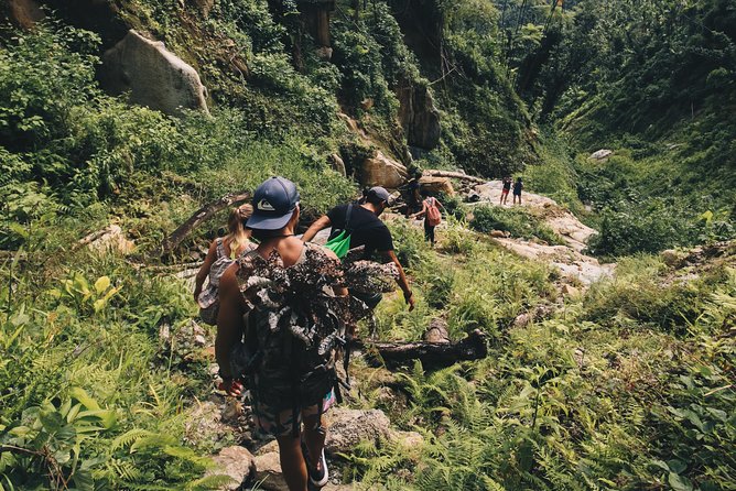 Top Rated El Yunque Rainforest & Waterslide – SmallGroup Tour - Lunch after the swims: what to budget and what to order
