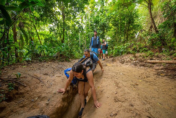 Top Rated El Yunque Rainforest & Waterslide – SmallGroup Tour - Who this El Yunque tour is best for, and who should skip it