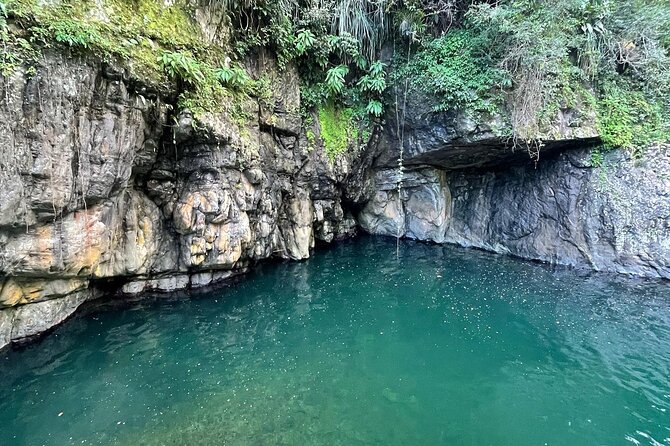 Toro Negro River Hike & Cliff Jumping Adventure; San Juan Pick Up - Charco El Moron Pool: Deep Water, Real Climbing Energy