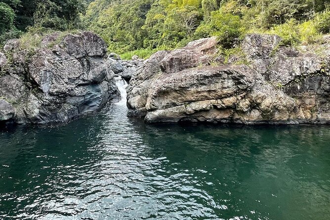 Toro Negro River Hike & Cliff Jumping Adventure; San Juan Pick Up - Who This Tour Is Perfect For, and Who Should Skip It