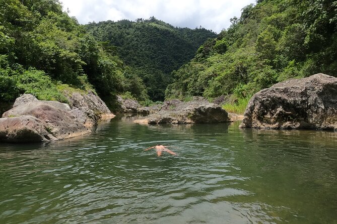 Toro Negro River Hike & Cliff Jumping Adventure; San Juan Pick Up - Toro Negro State Forest: Rainforest Walk to the River