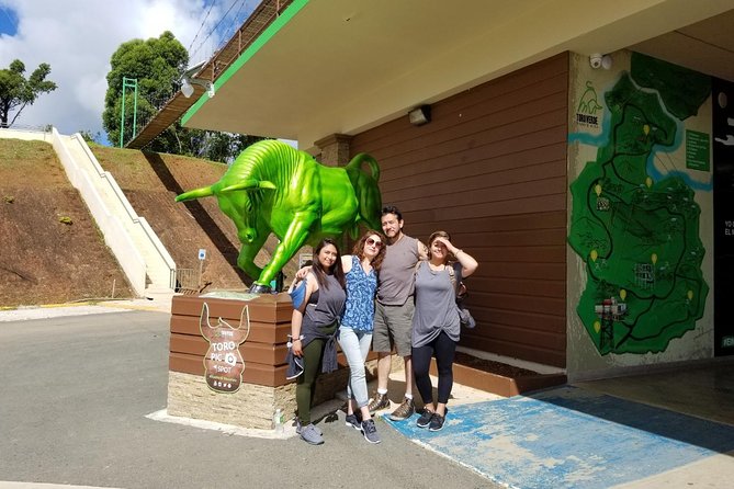 Toro Verde 7-Zipline Tour Plus the Monster with Transport - Pacing inside the park, waiting time, and how to plan your mood