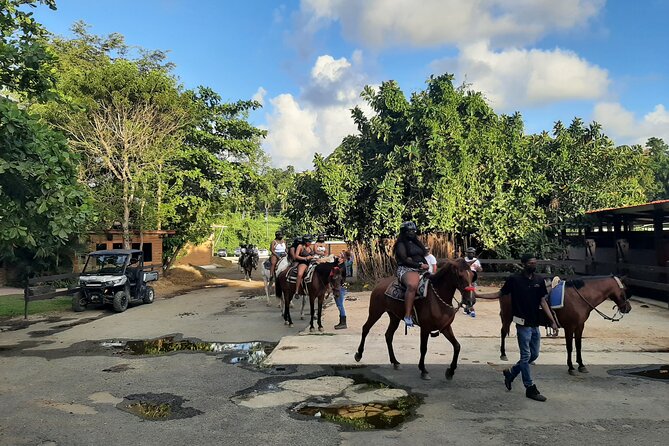 Transfer from San Juan to Ceiba Ferry or Ceiba to San Juan - Stops along the way: snacks, food, and even groceries