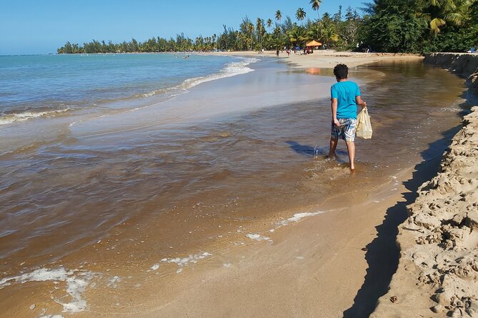 Transportation from San Juan to Ceiba ferry or airport - Choosing Your Drop-Off: Ceiba Ferry Terminal or Ceiba Airport (NRR)