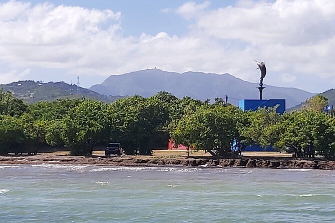 Transportation from San Juan to Ceiba ferry or airport - Communication That Keeps You From Losing Time