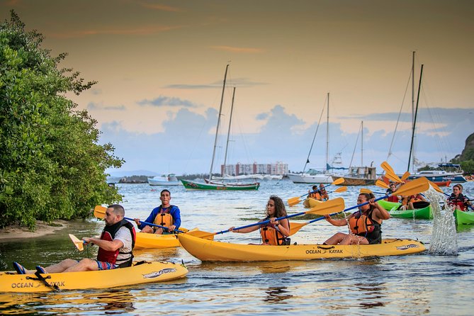 Trio Tour: El Yunque, Luquillo Beach, and Bio Bay Night Kayaking - A 12-hour Puerto Rico nature and glow combo, starting at 9:00 am