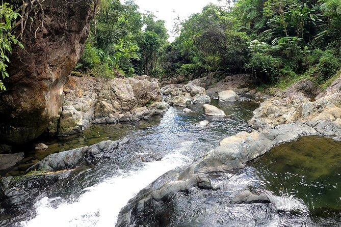 Trio Tour: El Yunque, Luquillo Beach, and Bio Bay Night Kayaking - Laguna Grande Bio Bay night kayaking in the mangrove reserve