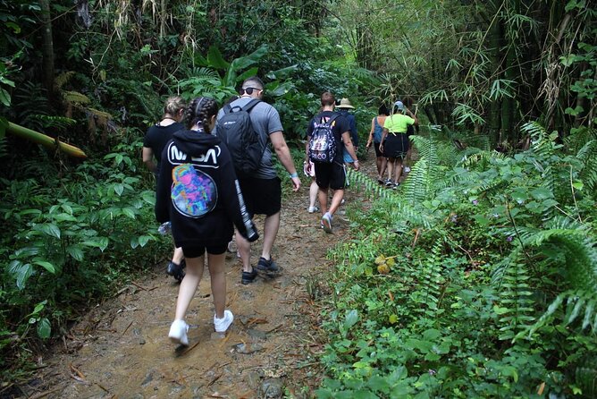 Trio Tour: El Yunque, Luquillo Beach, and Bio Bay Night Kayaking - Guides like Rafael, Angel, and Donatello make this day work