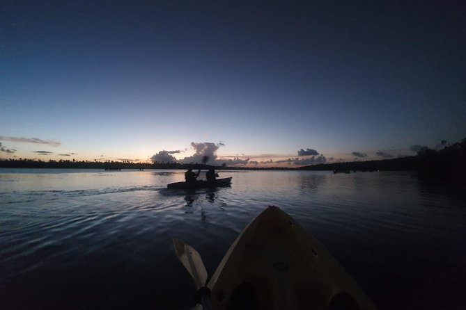 Trio Tour: El Yunque, Luquillo Beach, and Bio Bay Night Kayaking - Price and logistics: is $155 a fair value for a full-day trio?