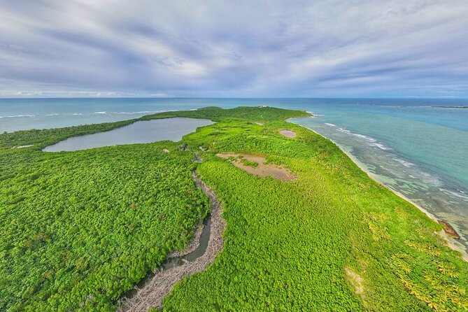 Trio Tour: El Yunque, Luquillo Beach, and Bio Bay Night Kayaking - Should you book this trio tour of El Yunque, Luquillo, and Bio Bay?