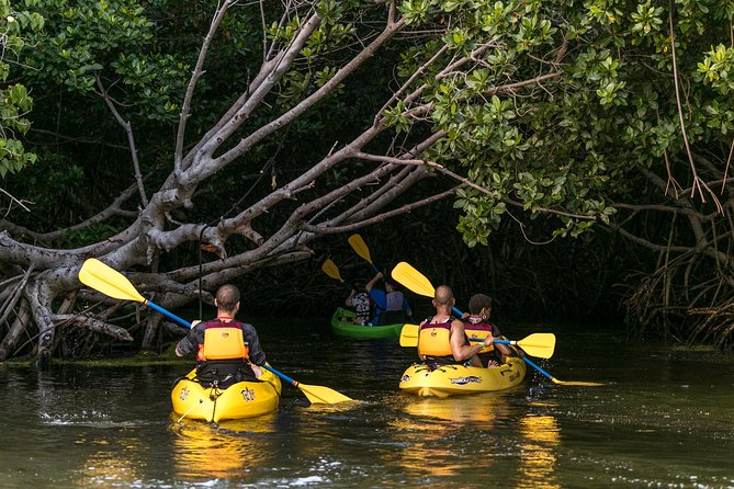 Trio Tour: El Yunque, Luquillo Beach, and Bio Bay Night Kayaking - El Yunque: La Coca Falls, a guided rainforest hike, and river swimming