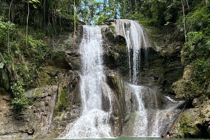 Tropical Rainforest Luxury Experiences - Isla Verde pickup, 2024 A/C comfort, and how the day actually flows