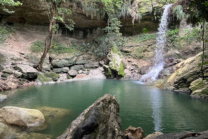 Tropical Rainforest Luxury Experiences - Rafael as your guide: why his 21 years matter on this exact route