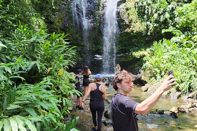 Tropical Rainforest Wonders Full Day Experience from San Juan - What makes Chendo’s guiding style matter on a day like this