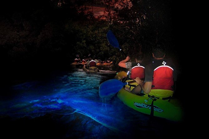 Two-in-One Day Trip: El Yunque and Bio Bay Tour with Transport - Key Things That Make This Tour Work