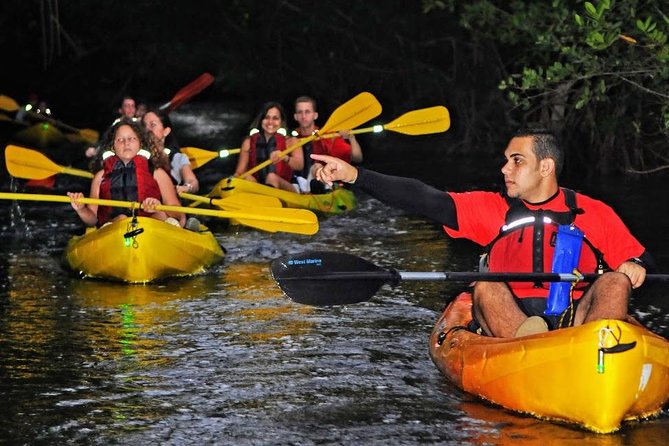 Two-in-One Day Trip: El Yunque and Bio Bay Tour with Transport - The Action Break Between Forest and Lagoon: Snacks, Photos, and Dinner Planning