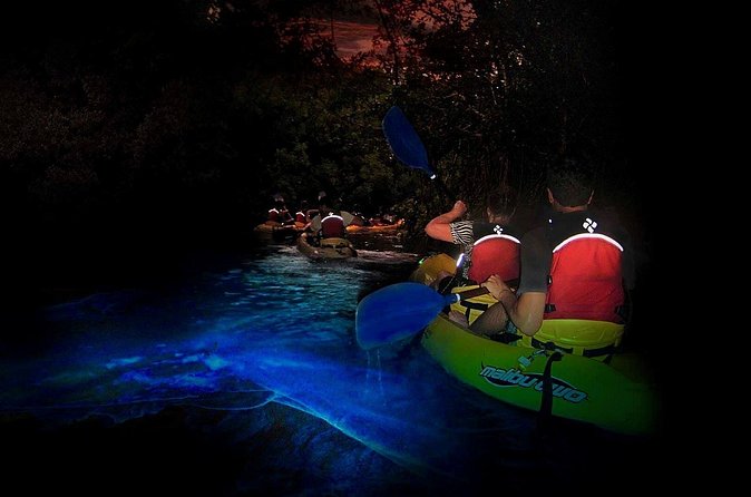 Two-in-One Day Trip: El Yunque and Bio Bay Tour with Transport - Who This Tour Suits Best (And Who Should Skip It)