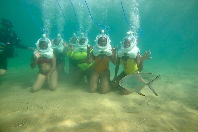 Underwater Sea Trek in San Juan: Explore Beneath the Waves - Marine Life Up Close: What You Can Spot