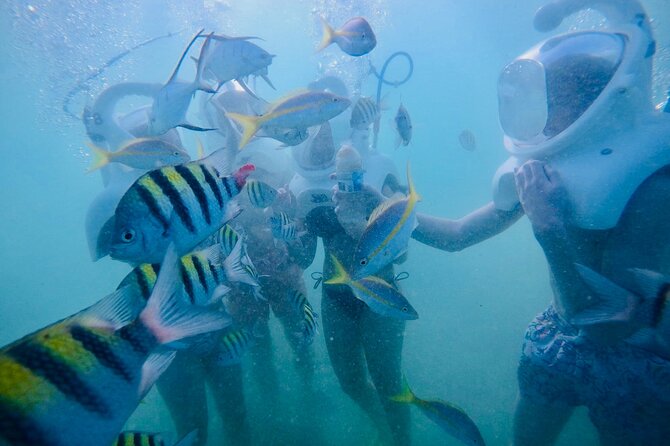 Underwater Sea Trek in San Juan: Explore Beneath the Waves - Value and Price: Is $114.84 a Good Deal?