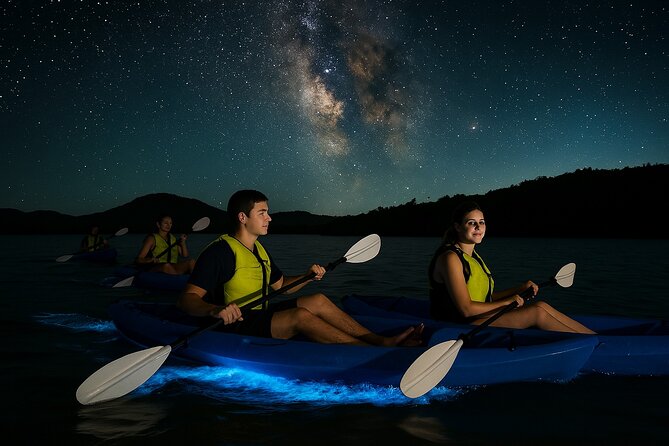 Unforgettable One Day Bioluminescent Kayak Adventure in Vieques - Mosquito Bay Bioluminescence, in Plain Terms
