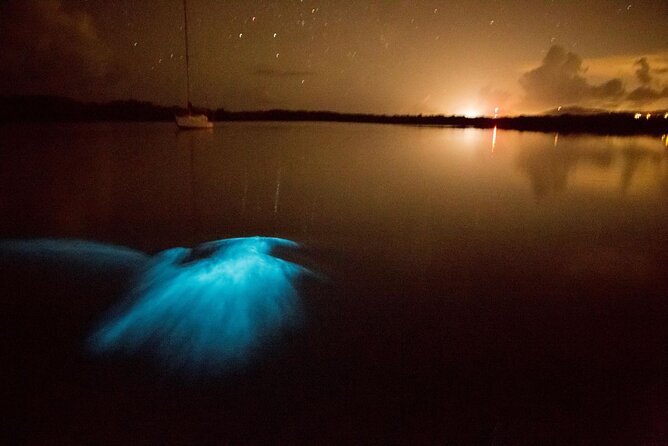 Unforgettable One Day Bioluminescent Kayak Adventure in Vieques - Price and Timing: Is $60 Worth It?