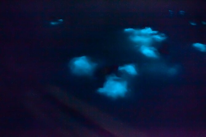 Unforgettable One Day Bioluminescent Kayak Adventure in Vieques - Bahía Bioluminiscente: What the 1-Hour Glow Session Really Feels Like