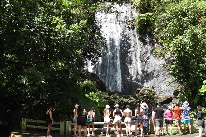 USDA El Yunque National Forest and Luquillo Beach Tour - Key highlights worth planning around