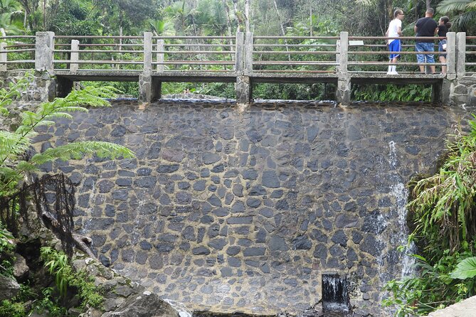USDA El Yunque National Forest and Luquillo Beach Tour - Torre Yokahu: a quick viewpoint with real context