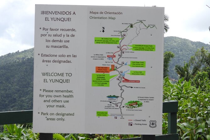 USDA El Yunque National Forest and Luquillo Beach Tour - Luquillo Beach and kiosks: lunch break that feels local