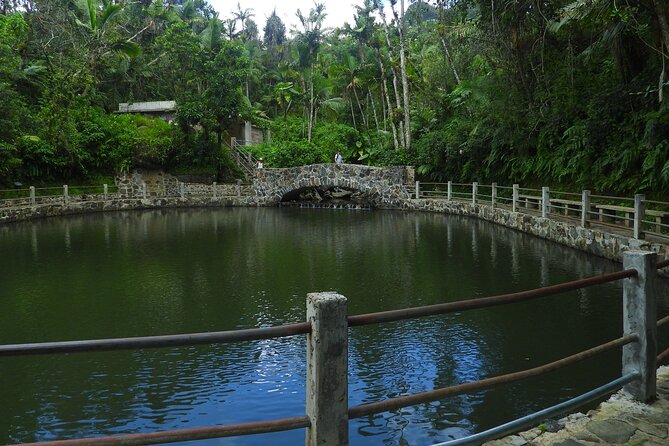 USDA El Yunque National Forest and Luquillo Beach Tour - Who should book this one, and who should skip it