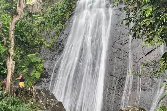 USDA El Yunque National Forest and Luquillo Beach Tour - Price and value: what $79 buys you