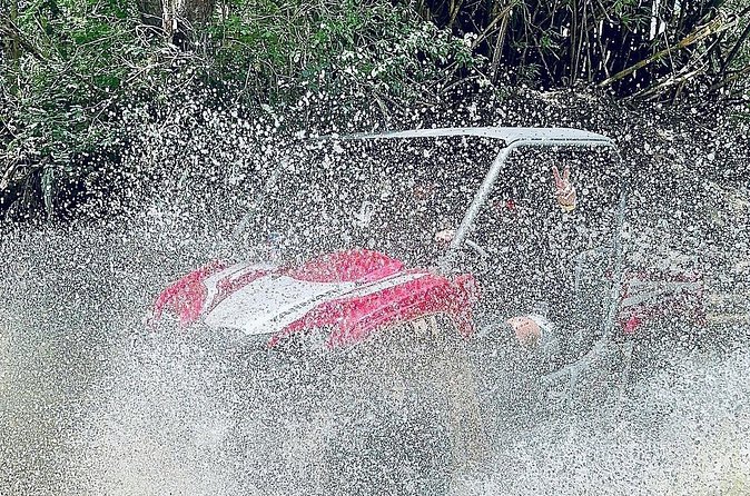 UTV adventure in Naguabo Puerto Rico 50 minutes trip 80 acres - Safety, Pace, and What You Should Really Expect on the Trail