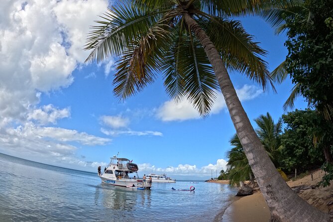 Vieques All-Inclusive: Swim with Turtles & Enjoy Pristine Beaches - Snorkeling around Vieques, with turtles as the headline