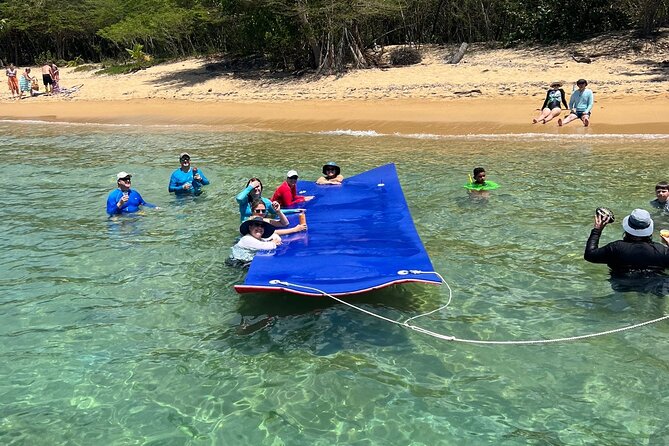 Vieques All-Inclusive: Swim with Turtles & Enjoy Pristine Beaches - Beach time that shifts gears from water to sun