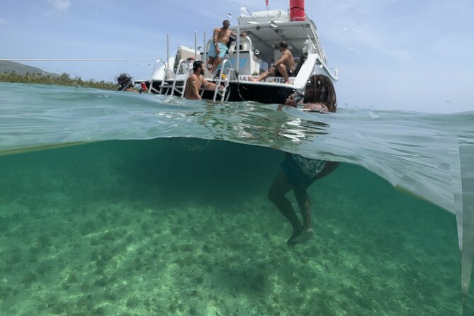 Vieques All-Inclusive: Swim with Turtles & Enjoy Pristine Beaches - When Vieques changes, you get options, not dead time
