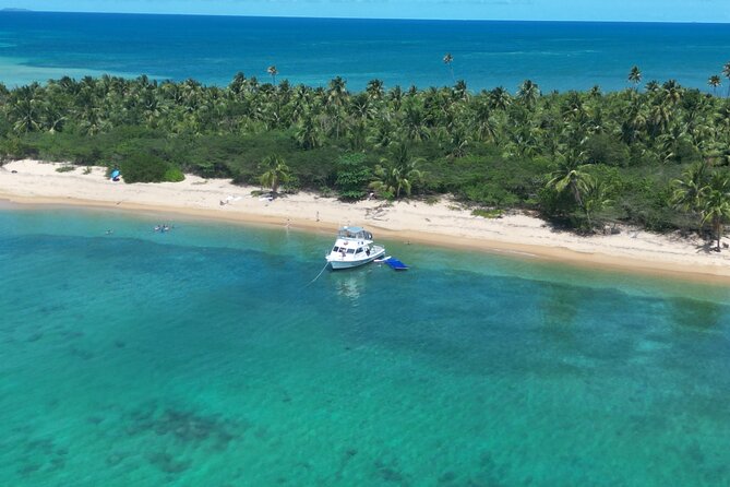 Vieques All-Inclusive: Swim with Turtles & Enjoy Pristine Beaches - Price and value: what $185 buys you