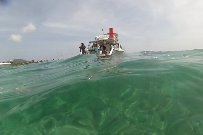 Vieques All-Inclusive: Swim with Turtles & Enjoy Pristine Beaches - Small logistics that matter more than you think